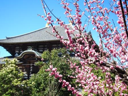 2011-4-大阪奈良 040.jpg